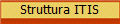 Struttura ITIS